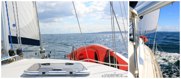 Homeward Bound_collage