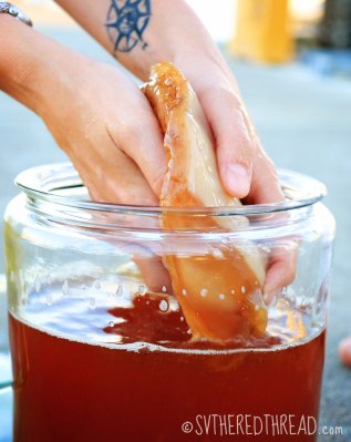 IMG_1572_SCOBY