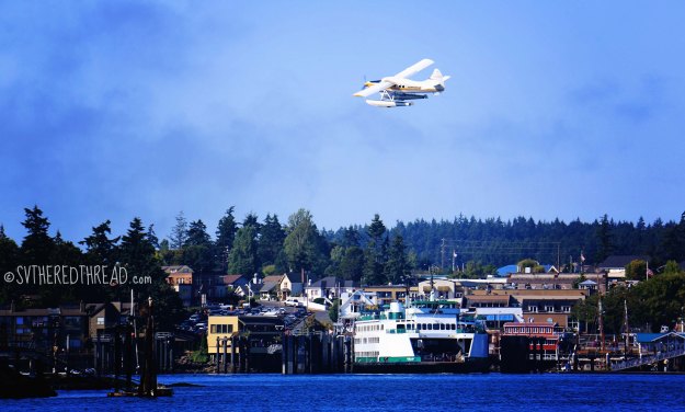 Friday Harbor_Sea plan soaring