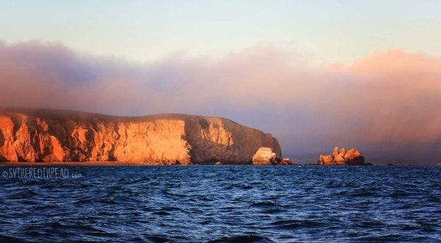 Rounding Point Reyes
