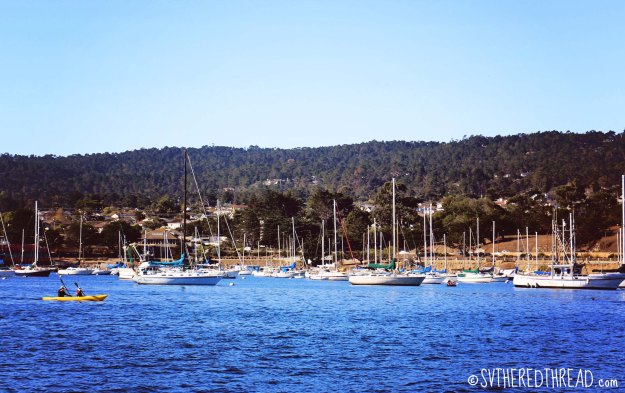Monterey_On mooring balls