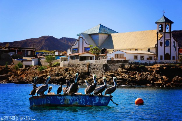 #Bahia de Tortugas_Pelican church