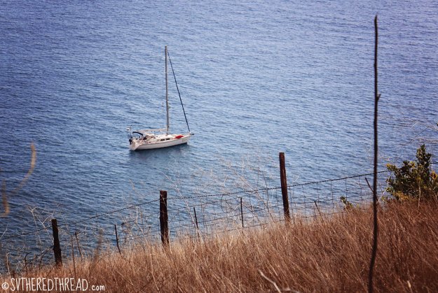 #Santa Cruz Island_TRT from the cliffs