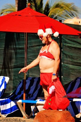 #Feliz Navidad_Tropical Santa