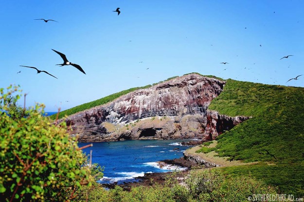 #Isla Isabela_Vista1