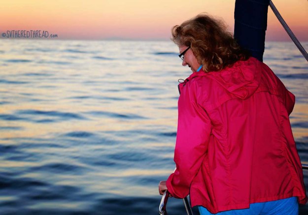 #Passage to Chacala_Dawn dolphin watching