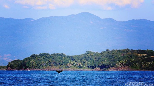 #Passage to Chacala_Whale fluke1