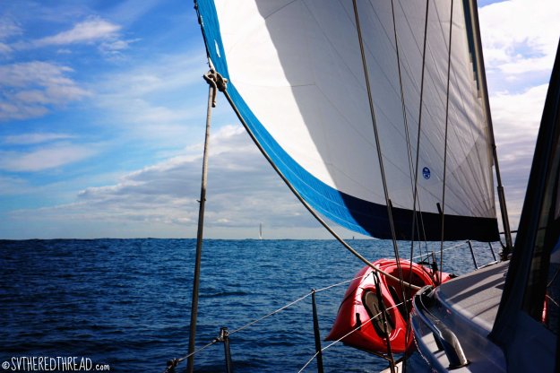 #Passage_Umbrella Dumpers Ahoy