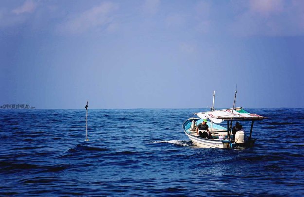 #Passage to Manzanillo_Long liners