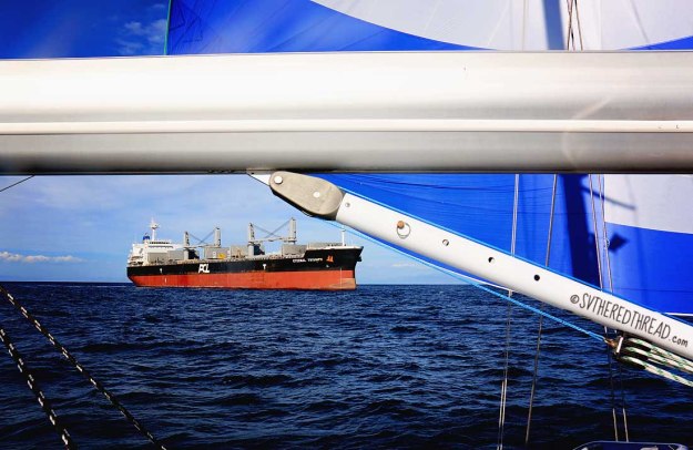 #Passage to Chiapas_Passing a monster cargo ship