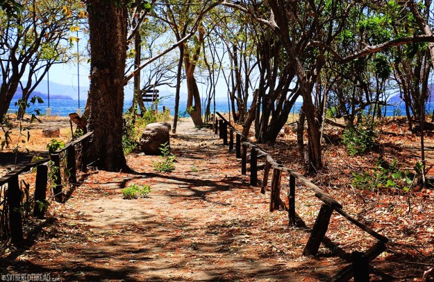 #Bahia Iguanita_Trails