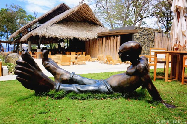 #Playa Panama_Mangroove man2