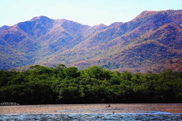 #Bahia Santa Elena_Low tide