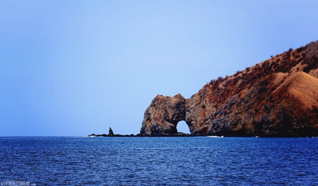 #Passage_Bat Islands