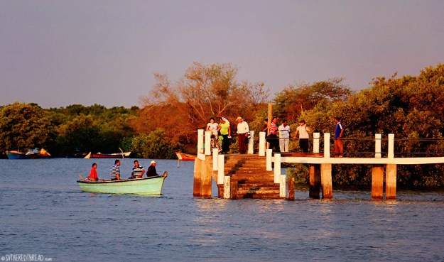 #Tamarindo Estuary_Water taxi