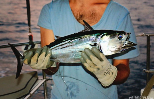 #Passage to Puesta del Sol_Tim + skipjack2