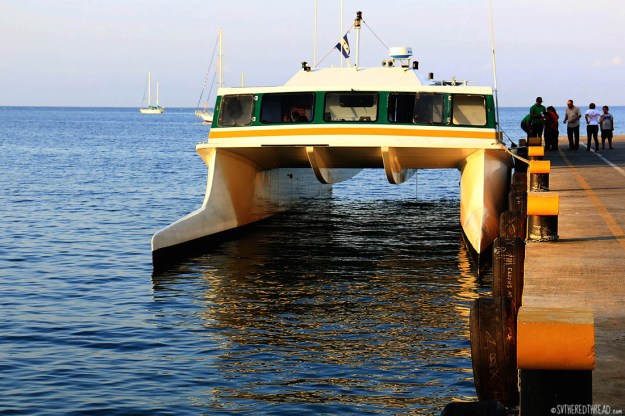 #Utila_Ferry from the mainland