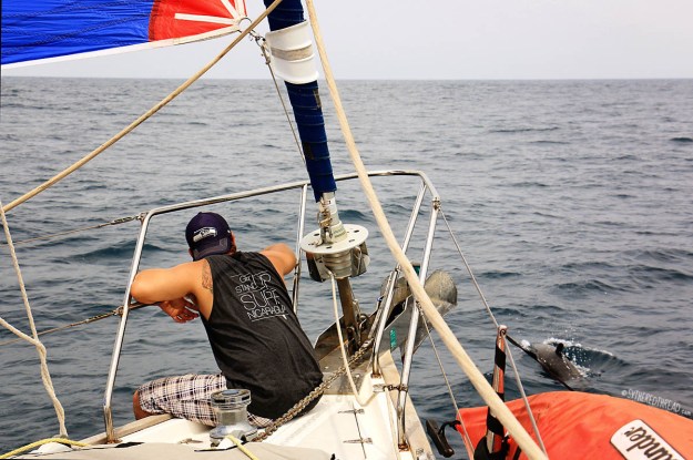 #Passage to Coco_Neil + dolphins