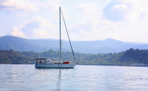 #Bahia Drake_Red Thread1