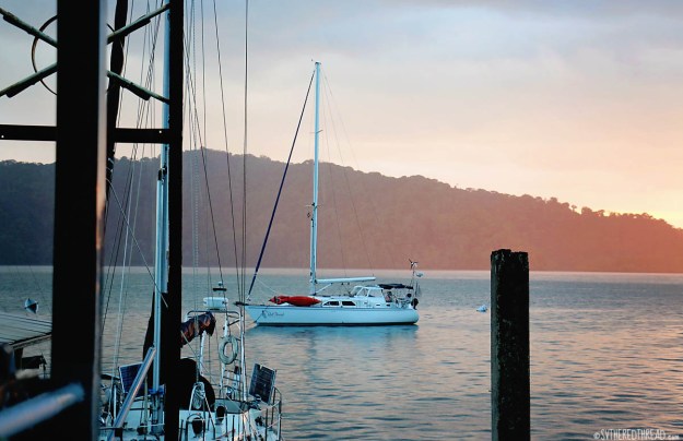 #Golfito_Red Thread at Land Sea