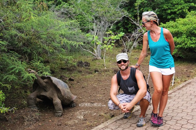 #San Cristobal_Galapaguera_N+J