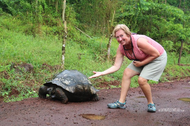 #Isla Santa Cruz_Highland tortoise + Lori