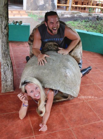 #Isla Santa Cruz_Rancho Primicias_All for a laugh