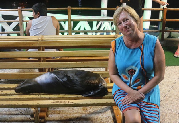 #Isla Santa Cruz_Scoot over