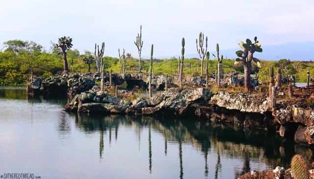 #Isla Isabela_Los Tunneles_The landscape1