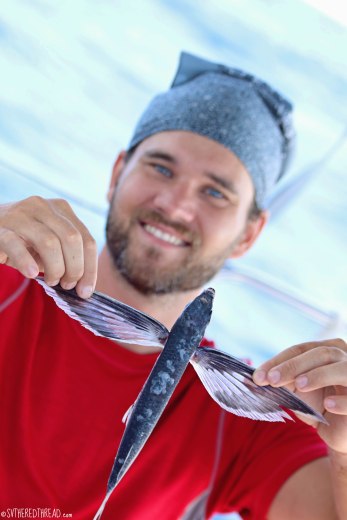 #Passage_Flying fish!