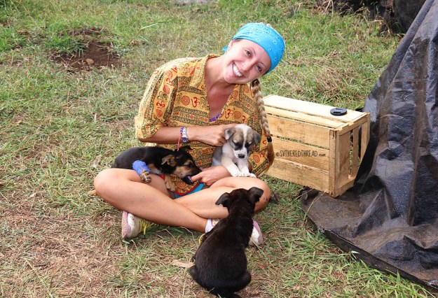 rapa-nui_puppy-fever