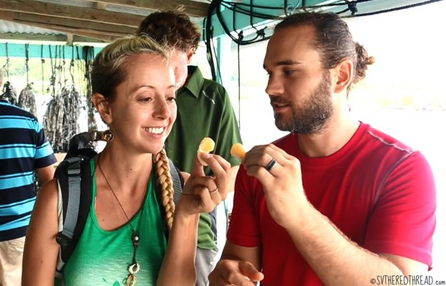 gambiers_maroi-pearl-farm_adductor-bite