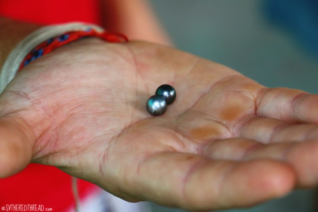 gambiers_maroi-pearl-farm_our-pearls