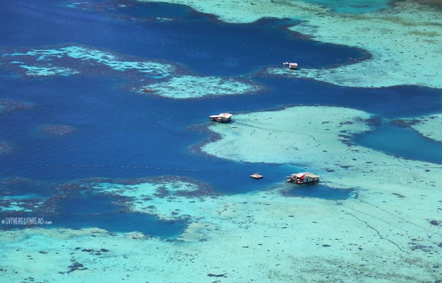 gambiers_pearl-lagoon_farms