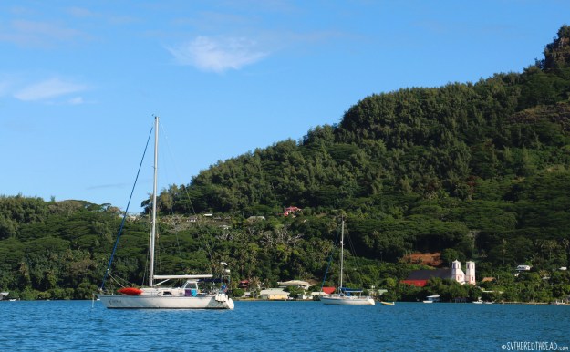 gambiers_red-thead-off-rikitea