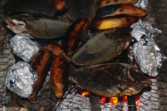 taravai-gambiers_on-the-fire