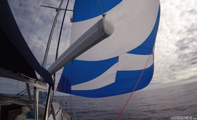 gambiers-to-australs_spinnaker-sailing