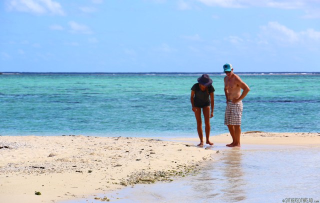 #bora bora_beachcombers