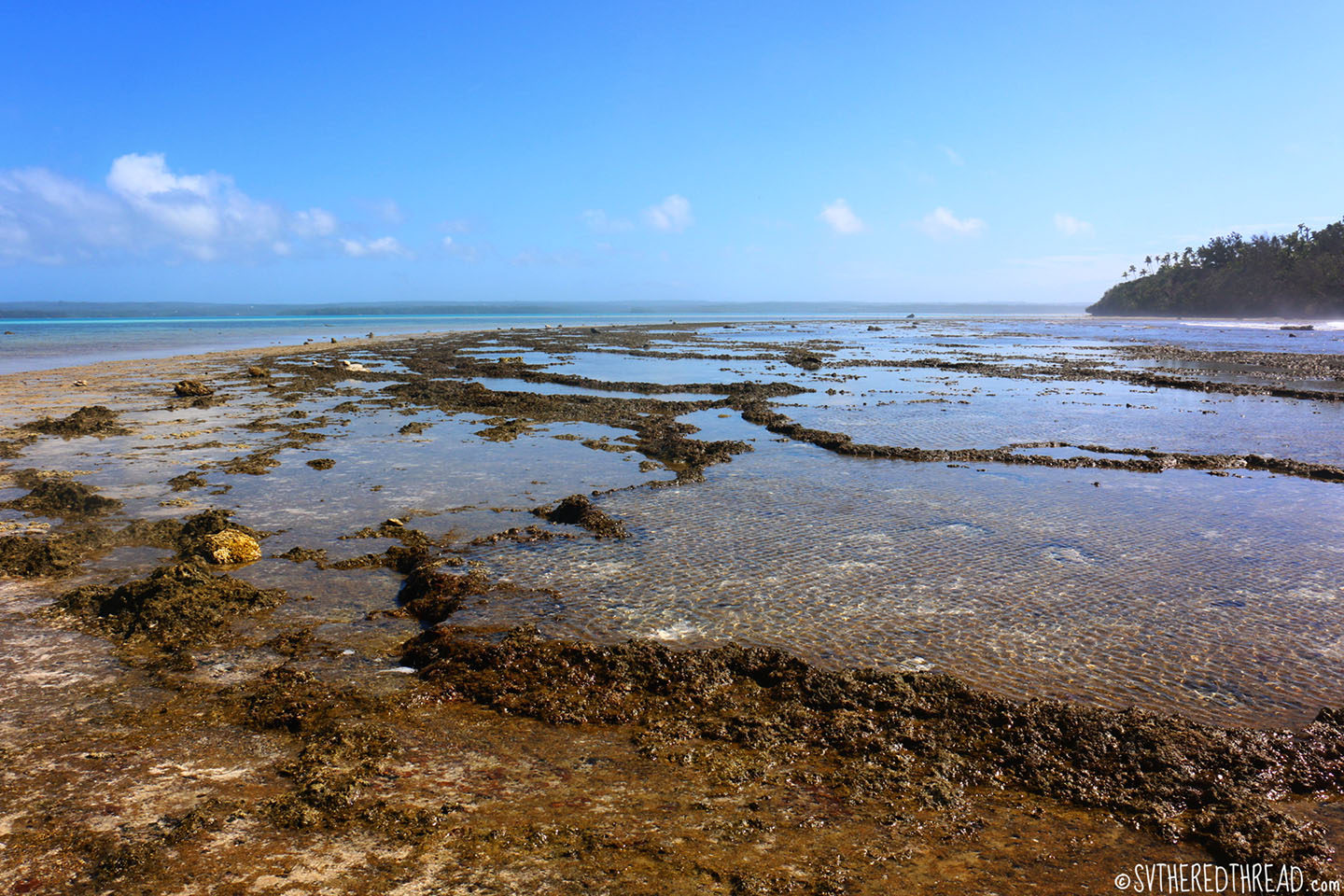 #Kenutu_Tide pools